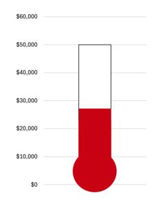 fund-raising-status
